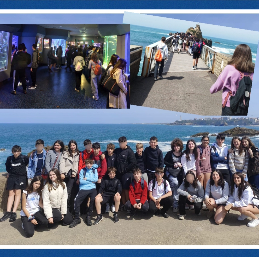 Bayona_2026_pixelada