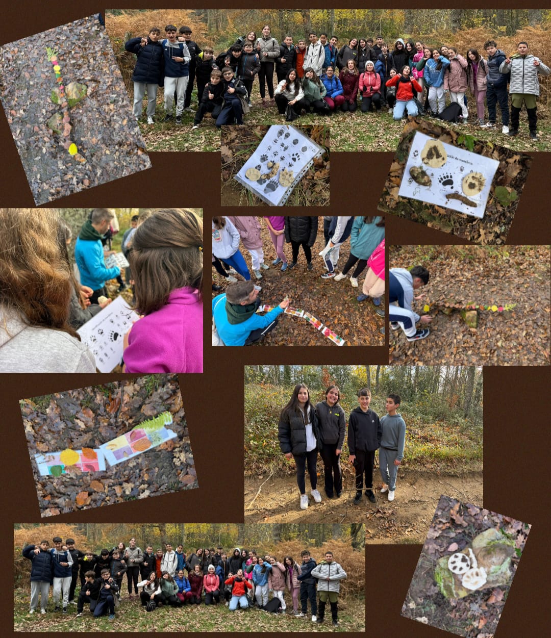 Aulas_Forestales_25_26