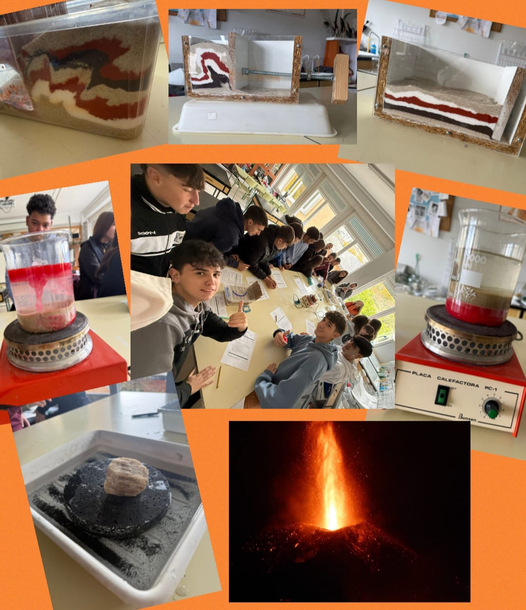 Taller_biologia_1BACH_25_26